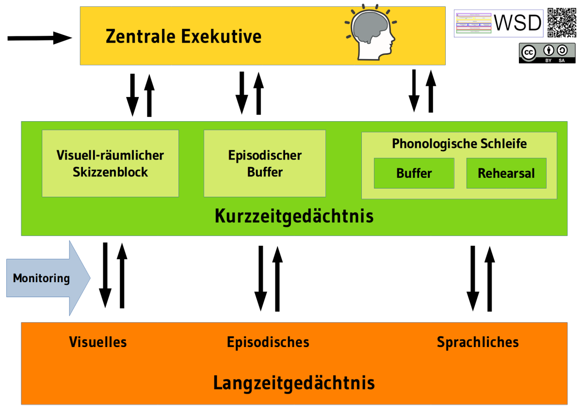 Arbeitsgedächtnis nach Baddeley